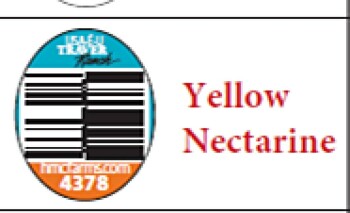 Food Recall HMC Farms/Signature Farms Whole Peaches, Plums, and Nectarines - recalled due to Listeria monocytoge... photo #19