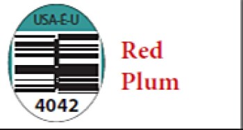 Food Recall HMC Farms/Signature Farms Whole Peaches, Plums, and Nectarines - recalled due to Listeria monocytoge... photo #21