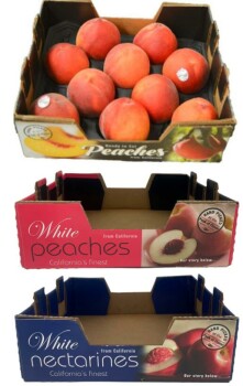 Outbreak HMC Farms peaches, nectarines, and plums linked to a Listeria multistate outbreak - Updated 31st Jan... photo #5