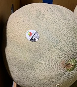 Food Recall Malichita/ Z Farms Cantaloupes -  recalled due to potential Salmonella contamination Jewel Marketing... photo #3