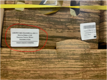 Food Recall Malichita/ Z Farms Cantaloupes -  recalled due to potential Salmonella contamination Jewel Marketing... photo #2