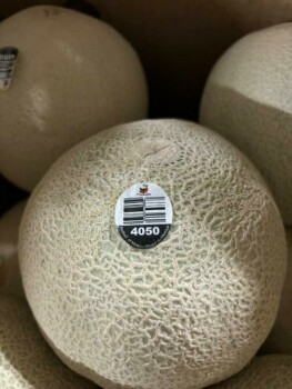 Food Recall Malichita and Rudy Cantaloupes Update - recalled due to Salmonella The food recall warning issued on... photo #2