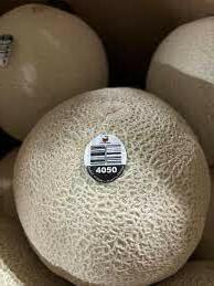 食品召回 Malichita Whole Cantaloupe - recalled due to Salmonella contamination Pacific Trellis Fruit, LLC dba... 照片 #2