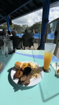 Consumer Review - Food Safety SeaWorld Orlando, Sea World Drive, Orlando, FL, USA My boyfriend and I went to Dine with Orcas at Se... photo #1