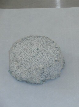 Food Recall LA CHEVRE RIEUSE raw goat milk cheeses - recalled due to Listeria RappelConso announced the recall o... photo #5