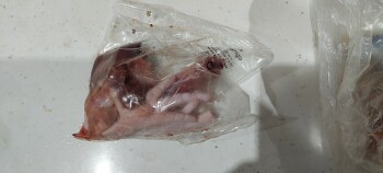 Consumer Review - Food Safety Lidl São Brás de Alportel, Estrada de São Brás de Alportel, São Brás de Alportel, São Brás de Alport... photo #2