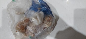 Consumer Review - Food Safety Lidl São Brás de Alportel, Estrada de São Brás de Alportel, São Brás de Alportel, São Brás de Alport... photo #3