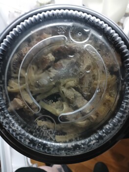 Consumer Review - Food Safety Olive Garden Italian Restaurant, Lancaster Drive Northeast, Salem, OR, USA My friend had Chicken fet... photo #2