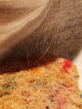 Informe de seguridad alimentaria del consumidor Tiny Grocer / SOCO, South Congress Avenue, Austin, TX, USA Found a piece of hair in my five dollar c... foto #3