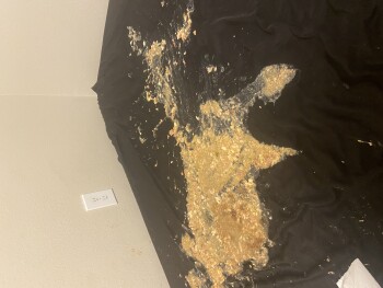 Consumer Review - Food Safety Buffalo Wild Wings, Badlands Drive, Brandon, FL, USA Last night around 11pm Buffalo wild wings n/a photo #3