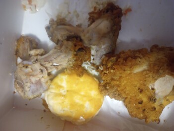 Consumer Review - Food Safety KFC, 813 South Belt Highway, St Joseph, MO, USA August 28 2023 and the Infection turned into Dyspeps... photo #3