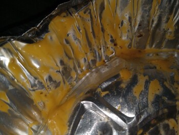 Consumer Review - Food Safety Pizza Boli's, Old Columbia Pike, Silver Spring, MD, USA Suspected food poisoning. Symptoms: Nausea,... photo #6