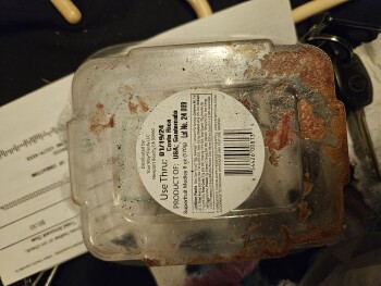 Consumer Review - Food Safety QuikTrip, South Bowen Road, Dalworthington Gardens, TX, USA I ate their mixed fruit medley and grape... photo #1