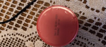 Consumer Review - Food Safety Clover Valley Creamy Peanut Butter, Foresthill, CA, USA Bad peanutbutter got sick right away
creamy... photo #2