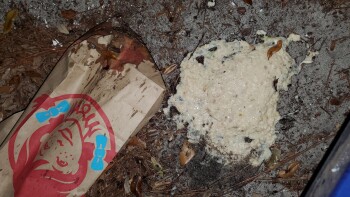 Reseña del consumidor - Seguridad alimentaria Wendy's, Friday Road, Cocoa, FL, USA Suspected food poisoning. Symptoms: Nausea, Vomiting, Chills
S... foto #2