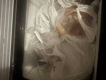 Consumer Review - Food Safety Lowes Foods of Lexington Sunset Blvd, Sunset Boulevard, Lexington, SC, USA Past few days after havin... photo #6