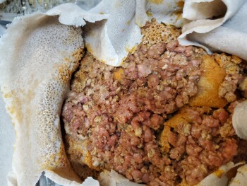 消费者评论 - 食品安全 Cafe Ibex, Martin Luther King Junior Way South, Seattle, WA, USA I gotten food posion watery diarrhe... 照片 #2