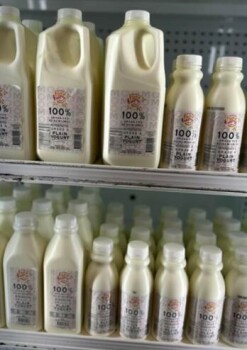 Food Recall The Farmers' Creamery Plain Yogurt recalled due to potential improper pasteurization The Farmers' Cr... photo #2