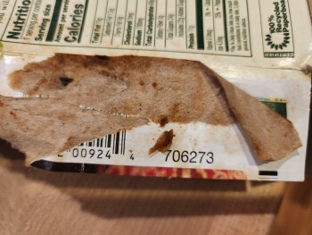 消费者评论 - 食品安全 Food Lion, South Broadway Street, Forest City, NC, USA I purchased Amys Pad Tai at Food Lion Forest... 照片 #4