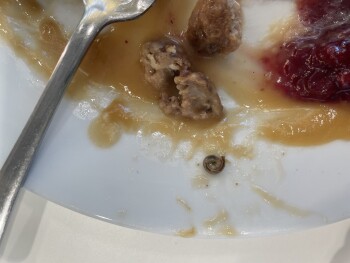 消费者评论 - 食品安全 IKEA, Potomac Mills Circle, Woodbridge, VA, USA On Friday, March 29 my family and I ate lunch at IKE... 照片 #2