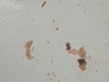 Consumer Review - Food Safety Panda Express, Grass Valley Highway, Auburn, CA, USA on April 4 2024, me and my boyfriend went to pa... photo #2