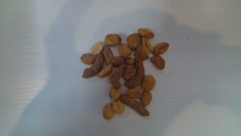 Verbraucherbewertung – Lebensmittelsicherheit Snak Club Hot Ones, Amazon, Florida, USA 2 days ago Snak Club Hot Ones  amazon. com Extreme nausea a... Foto #6