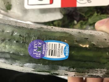 消费者评论 - 食品安全 Sprouts Farmers Market, Sheldon Road, Tampa, FL, USA Last night dinner 04/24/2024 Organic girl famil... 照片 #2
