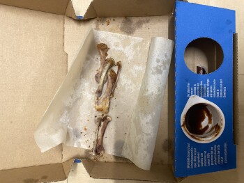 Consumer Review - Food Safety Domino's Pizza - Bodmin, Dennison Road, Bodmin, UK Last night Chicken from domino's My son ate 2 chi... photo #2