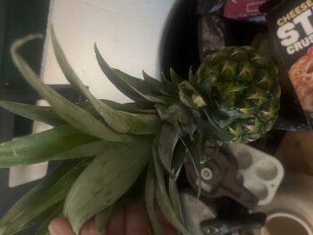 Consumer Review - Food Safety Pineapple, ALDI, West Shawnee Street, Muskogee, OK, USA photo #1