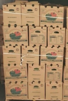 Food Recall Fresh Start Produce Sales Whole Cucumbers - recalled due to Salmonella Fresh Start Produce Sales Inc... photo #1