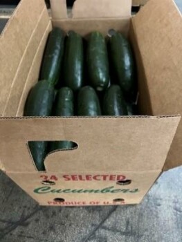 Food Recall Fresh Start Produce Sales Whole Cucumbers - recalled due to Salmonella Fresh Start Produce Sales Inc... photo #2