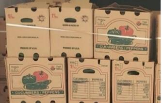 الفاشية Multistate Outbreak of Salmonella Africana Infections linked to Cucumbers Update: August 22, 2024

T... صورة فوتوغرافية #3