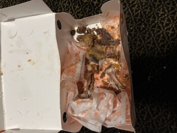 Consumer Review - Food Safety Popeyes, Georgia, USA Yesterday Popeyes sandwich and fried chicken My son and I both ate it, I had t... photo #3