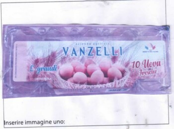 نذكر الطعام Azienda Agricola Vanzelli Eggs recalled due to Microbiological contamination Azienda Agricola Vanzel... صورة فوتوغرافية #2
