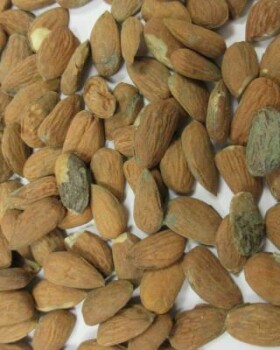Food Recall Albert almonds natural MAXI PACKAGING recalled due to Green Mold Albert Česká republika, s.r.o., has... photo #6