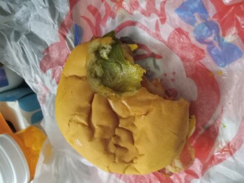 مراجعة المستهلك - سلامة الغذاء Wendy's, 328 South Bickett Boulevard, Louisburg, NC, USA Yesterday, my meal from Wendy's was unsatis... صورة فوتوغرافية #2