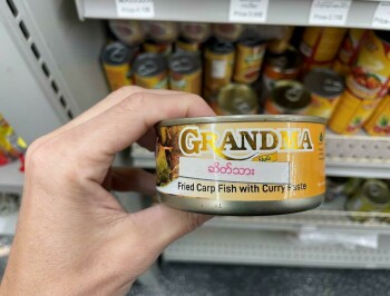Outbreak Health Alert for Myanmar's Illegally Imported Meat and Poultry Products The U.S. Department of Agric... photo #3