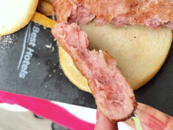 Consumer Food Safety Report Hotel Best Los Ángeles, Carrer de Falset, Salou, Spain I am being served raw food from the hotel photo #2