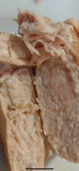 Consumer Food Safety Report Hotel Best Los Ángeles, Carrer de Falset, Salou, Spain I am being served raw food from the hotel photo #4