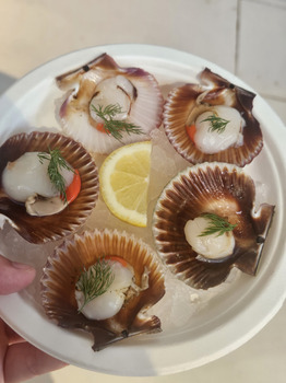 Reseña del consumidor - Seguridad alimentaria Mercado do Bolhão, Rua Formosa, Porto, Portugal I got ceviche and scallops from the seafood vendors... foto #1