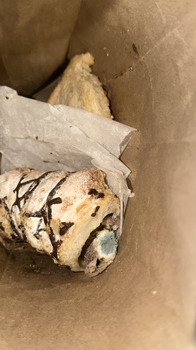 مراجعة المستهلك - سلامة الغذاء Doña Concha Bakery, East Jackson Street, Joliet, Illinois, USA Me vendieron un pan con moho y  lo in... صورة فوتوغرافية #2