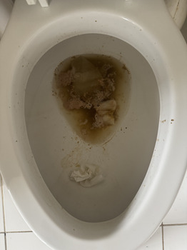 Consumer Review - Food Safety Curry Q, Grantley Rd, Baltimore, MD, USA On Sunday, May 24, 2026 from noon until the next day, I vom... photo #2