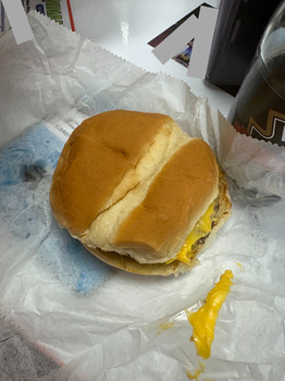 Consumer Review - Food Safety Famous Uncle Al's Dog House, Holland Road, Virginia Beach, VA, USA i ate a cheeseburger from there,... photo #2