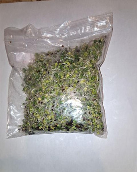 Rappel d'aliments Evergreen Fresh Sprouts Recalls Broccoli Sprouts recalled due to Salmonella Evergreen Fresh Sprouts,... photo #2