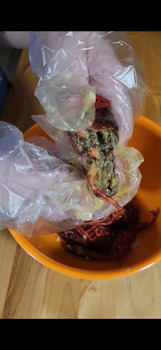 Consumer Review - Food Safety Hook & Reel Cajun Seafood & Bar, Metcalf Avenue, Overland Park, KS, USA I ordered a seafood boil and... photo #2
