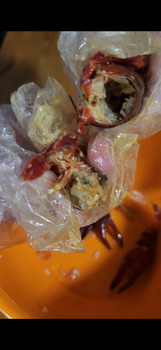 Consumer Review - Food Safety Hook & Reel Cajun Seafood & Bar, Metcalf Avenue, Overland Park, KS, USA I ordered a seafood boil and... photo #3