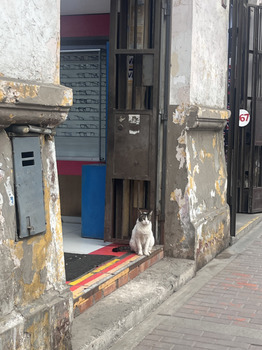 Avis du consommateur - Sécurité alimentaire Pizza Hut, Avenida Nicolás de Piérola, Lima, Peru Ayer como a las 8pm pedi delivery de pizza hut y l... photo #2