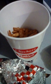 Consumer Review - Food Safety Checkers, Shugart Road, Dalton, GA, USA I ate at checkers around maybe 2 or 3pm on Friday in June 20... photo #4