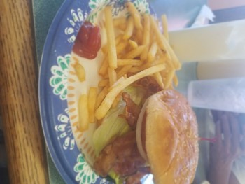 Consumer Food Safety Report Tonopah Family Restaurant, Indian School Road, Tonopah, AZ, USA I had an avocado and bacon cheesebur... photo #2