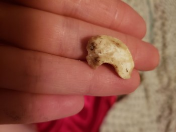 消费者食品安全报告 Bulk Barn, 32 Avenue Northeast, Calgary, AB, Canada Moldy cashews 照片 #2